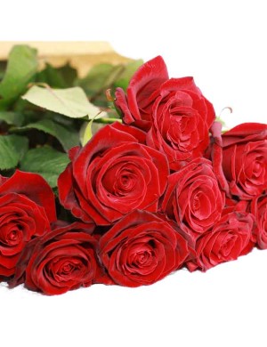 Grandes roses à la pièce rouge ou blanc