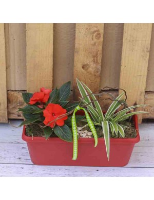 Jardinière 40cm rouge 2 plantes +decor