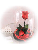 Rose Éternelle, LED, Cloche verre 25cm